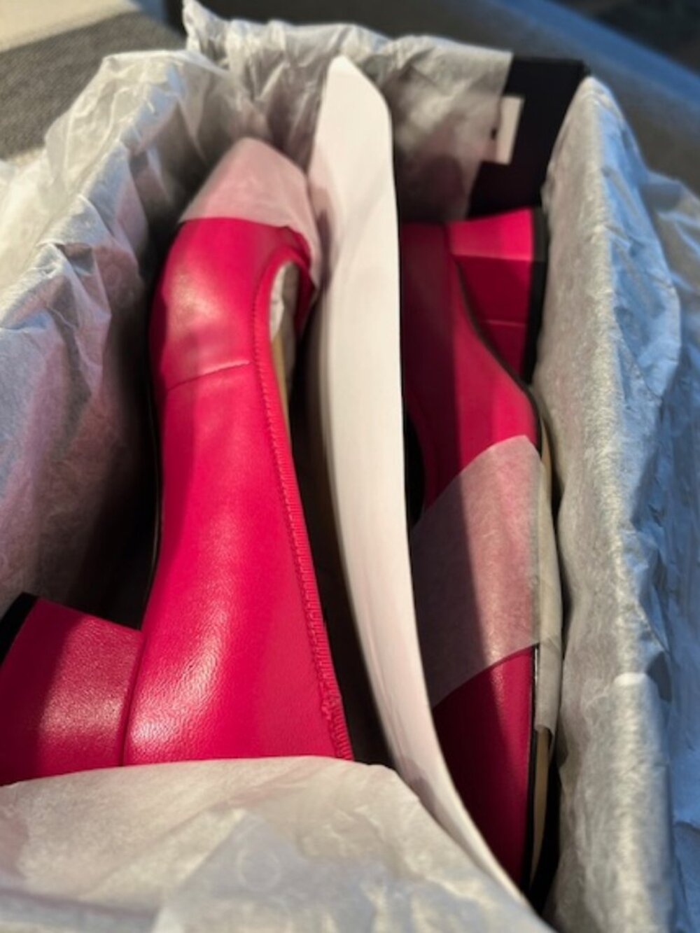 Coach Dragon Fruit Ava Ballet Block Heel Leather Pump